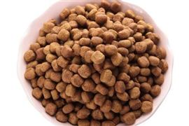 寵物食品行業(yè)現(xiàn)狀與市場(chǎng)發(fā)展前景分析