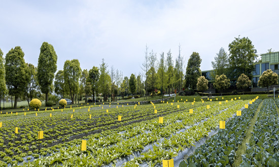 農業(yè)投資行業(yè)市場調研 農業(yè)投資市場現狀及發(fā)展趨勢分析2023