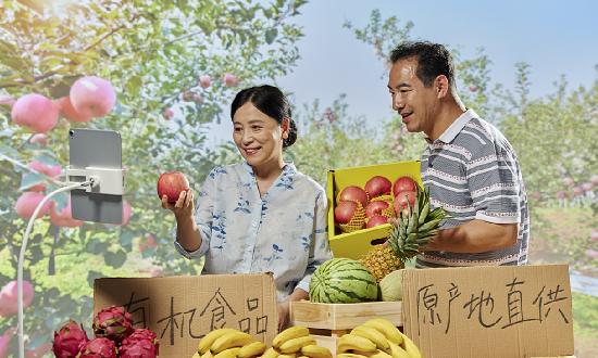 行業(yè)分析 全國農(nóng)村網(wǎng)絡(luò)零售額增長12.2%;前三季度新疆網(wǎng)絡(luò)零售額同比增長19.04%