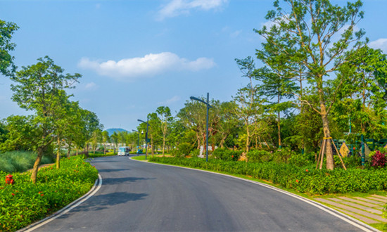 2023年道路綠化工程行業(yè)市場(chǎng)研究分析