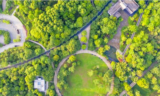 山東省低碳經(jīng)濟(jì)行業(yè)發(fā)展前景與趨勢(shì)分析
