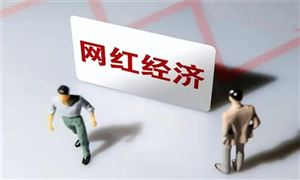 爾濱 又出大招 哈藥六廠 新晉網(wǎng)紅 經(jīng)濟(jì)日報(bào)：誰會成為下一個(gè)爾濱 網(wǎng)紅經(jīng)濟(jì)行業(yè)市場分析報(bào)告