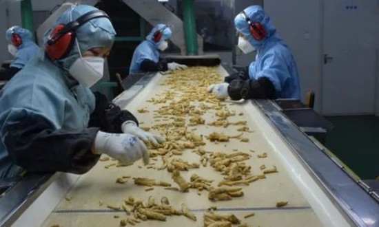 2024年中國中藥飲片加工行業(yè)的產(chǎn)業(yè)鏈上下游結(jié)構(gòu)及重點(diǎn)企業(yè)