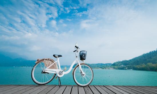 中國(guó)自行車行業(yè)市場(chǎng)分析及發(fā)展前景預(yù)測(cè)