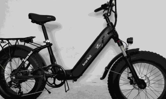 2024電動(dòng)自行車行業(yè)市場(chǎng)投資潛力預(yù)測(cè)報(bào)告
