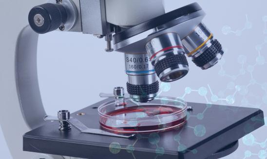 中國微生物技術市場調(diào)查分析與發(fā)展趨勢預測