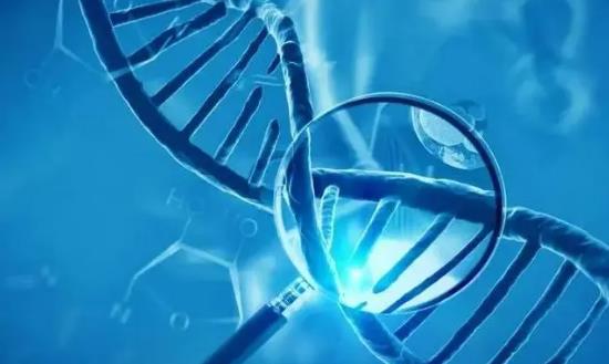2024生命科學(xué)行業(yè)市場現(xiàn)狀與投資調(diào)研