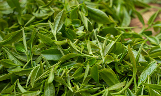 我國現(xiàn)存茶葉相關(guān)企業(yè)163.8萬余家 2024年茶葉行業(yè)市場深度分析