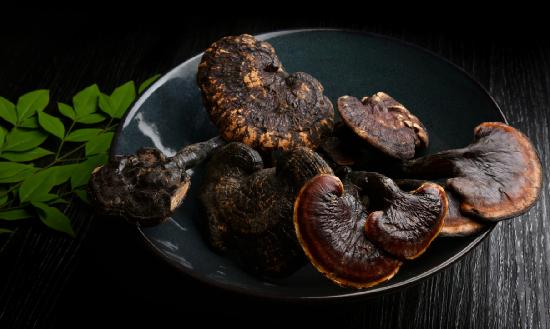 靈芝行業(yè)現(xiàn)狀及前景分析 靈芝藥食同源的開(kāi)發(fā)和應(yīng)用將會(huì)迎來(lái)新的突破