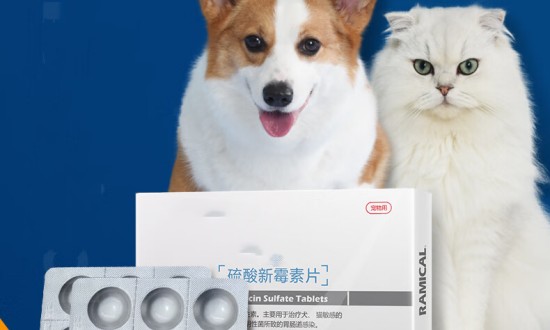2024年中國(guó)寵物藥品行業(yè)的產(chǎn)業(yè)鏈上下游結(jié)構(gòu)及投資趨勢(shì)分析