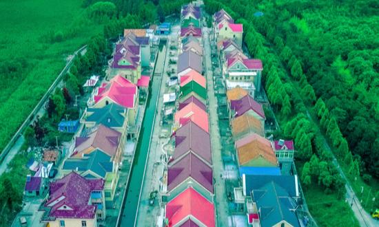 2024年中國鄉(xiāng)鎮(zhèn)旅游行業(yè)市場現(xiàn)狀及未來發(fā)展趨勢分析