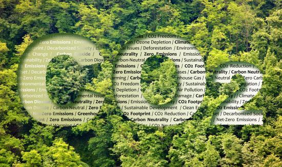 中國碳中和背景下建筑行業(yè)深度分析與發(fā)展前景預(yù)測(cè)