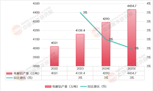 2025年電解鋁行業(yè)現(xiàn)狀與發(fā)展趨勢(shì)分析