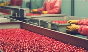 “十五五”河南省食品加工行業(yè)前景預(yù)測(cè)研究