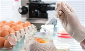 2025年中國(guó)食品安全行業(yè)現(xiàn)狀與發(fā)展趨勢(shì)分析：健康化成為核心賽道