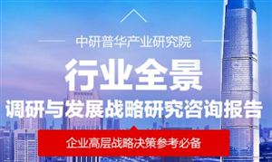 2025年中國(guó)動(dòng)漫主題公園行業(yè)：上海迪士尼“瘋狂動(dòng)物城”引領(lǐng)新風(fēng)尚，未來競(jìng)爭(zhēng)與發(fā)展前景深度剖析