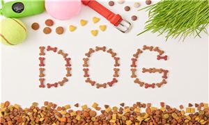 2025年寵物食品凍干機產(chǎn)業(yè)深度研究報告：千億市場的技術(shù)革命與增長極