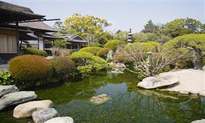 政策紅利與技術(shù)革新雙輪驅(qū)動(dòng)下，2025年園林規(guī)劃行業(yè)市場全景調(diào)研
