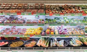 2025年“一帶一路”食品加工行業(yè)競爭格局預(yù)測與投資戰(zhàn)略分析，食品產(chǎn)業(yè)新機遇